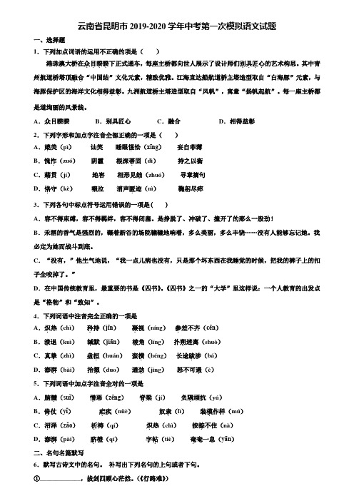 云南省昆明市2019-2020学年中考第一次模拟语文试题含解析