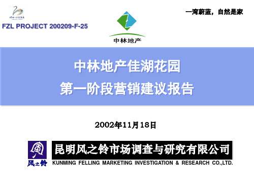 推荐-中林地产佳湖花园第一阶段营销建议报告301 精品