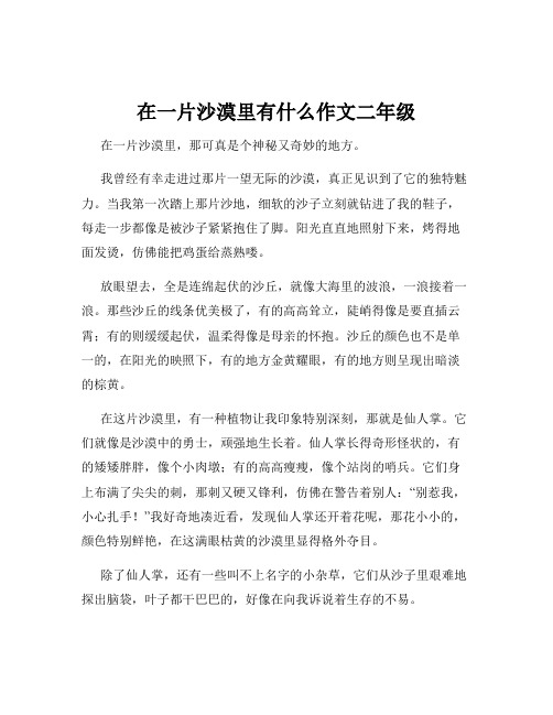 在一片沙漠里有什么作文二年级