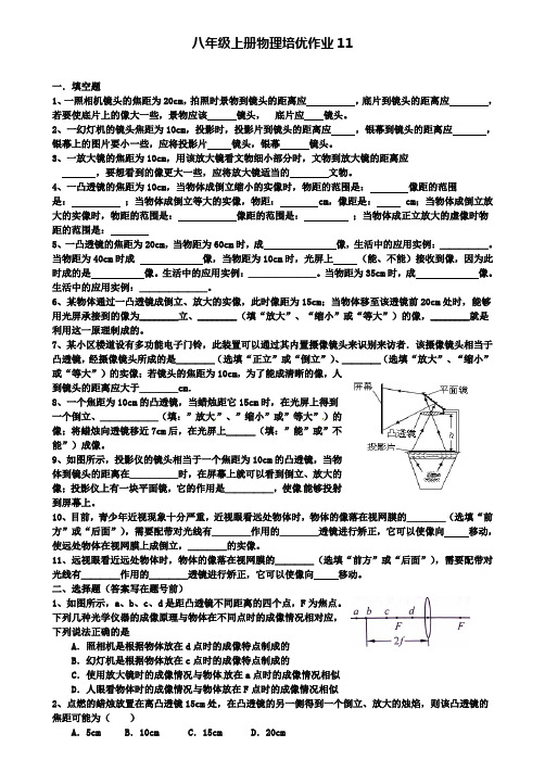 八年级物理上学期培优作业11(附2套中考模拟卷)