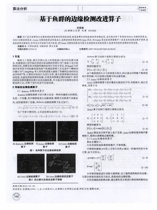 基于鱼群的边缘检测改进算子