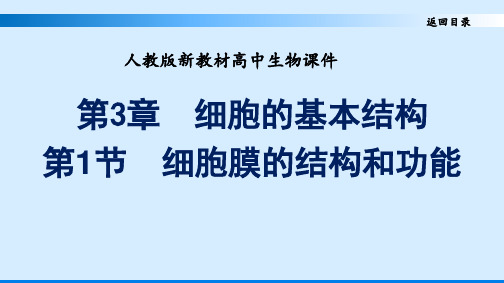 人教版新教材高中生物必修一优质课件 第三章 细胞的基本结构 第一节 细胞膜的结构和功能