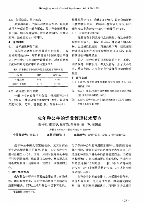 成年种公牛的饲养管理技术要点