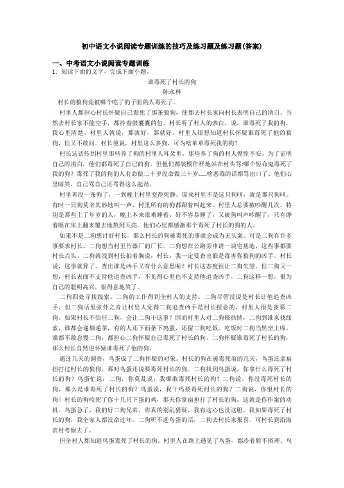 初中语文小说阅读专题训练的技巧及练习题及练习题(答案)