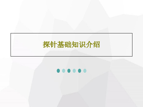 探针基础知识介绍共20页