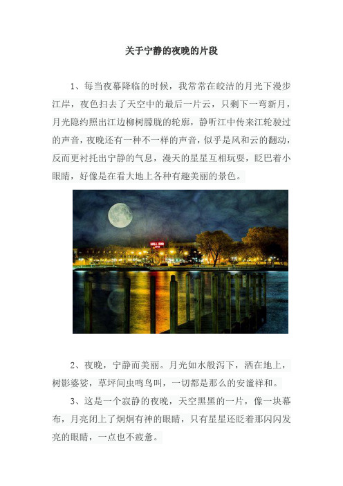 关于宁静的夜晚的片段