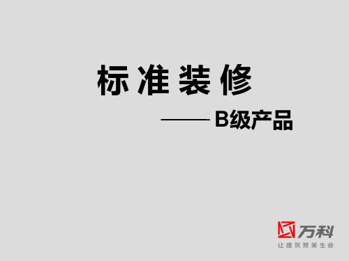 万科地产集团  标准化精装修   标准装修-B级产品