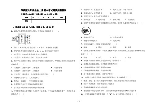 苏教版七年级生物上册期末考试题及完整答案