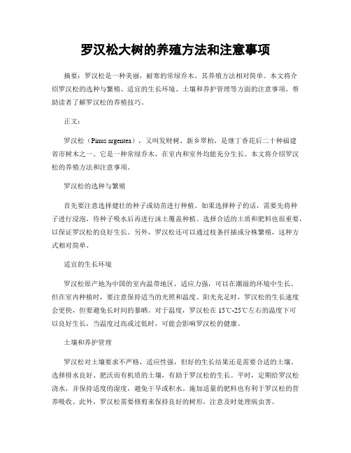 罗汉松大树的养殖方法和注意事项