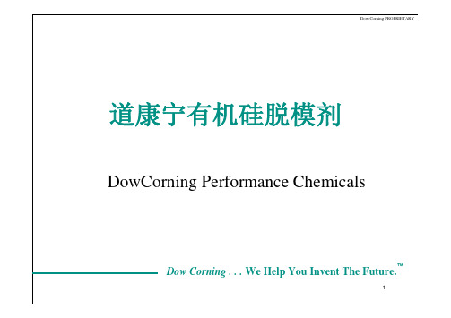 DC 脱模教材剂培训资料