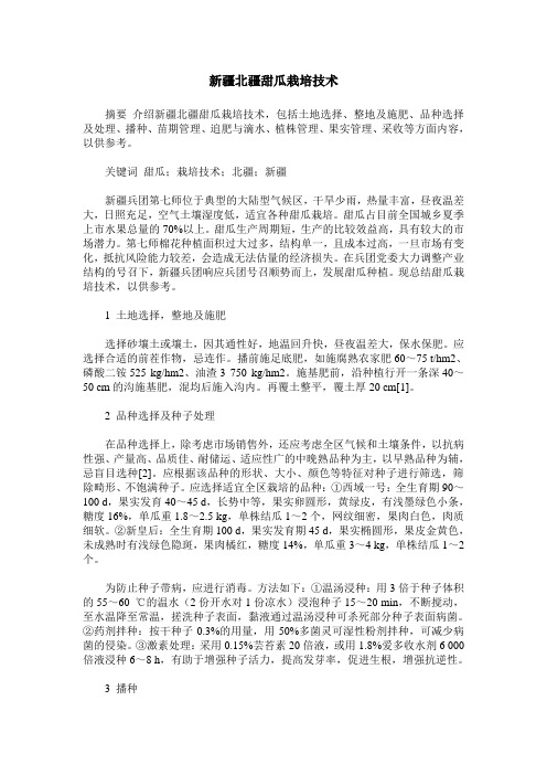 新疆北疆甜瓜栽培技术