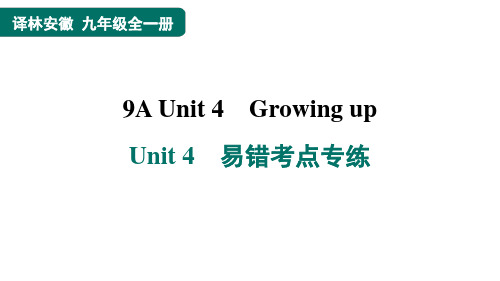 Unit4Unit4易错考点专练课件牛津译林版英语九年级上册