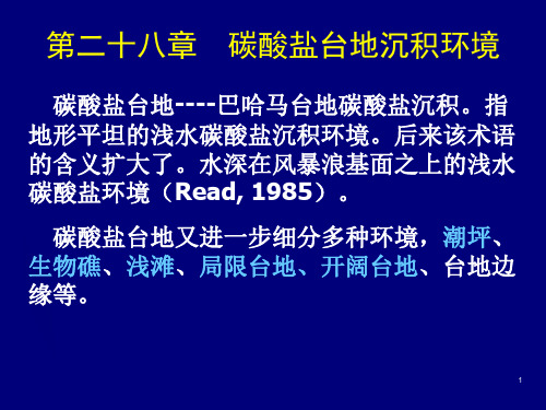 28碳酸盐台地沉积环境及29.海相深水碳酸盐解析