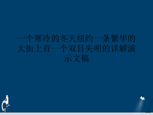 一个寒冷的冬天纽约一条繁华的大街上有一个双目失明的详解演示文稿