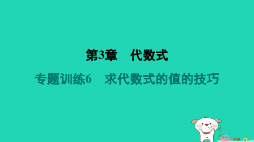 七年级数学上册第3章代数式专题训练6求代数式的值的技巧习题新版苏科版