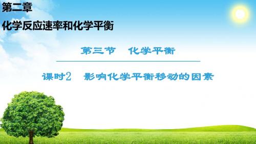 2018-2019学年人教版选修4 第2章第3节 化学平衡(第2课时) 课件(52张)