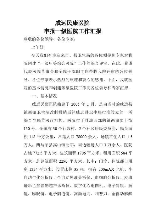 申报一级医院工作汇报