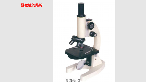 显微镜使用方法PPT课件