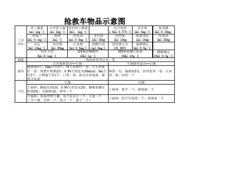 抢救车物品示意图