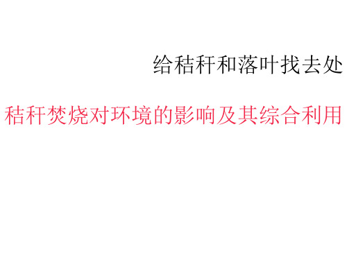 4给秸秆和落叶找去处(课件)(共33张ppt)综合实践活动七年级教科版