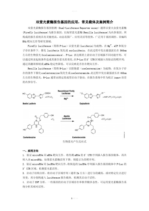 双萤光素酶报告基因的应用-常见载体及案例简介