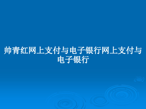 帅青红网上支付与电子银行网上支付与电子银行PPT学习教案