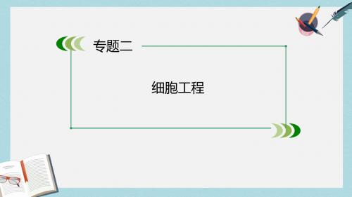 人教版高中生物选修3专题2 第1节《第1课时 植物细胞工程的基本技术》ppt课件