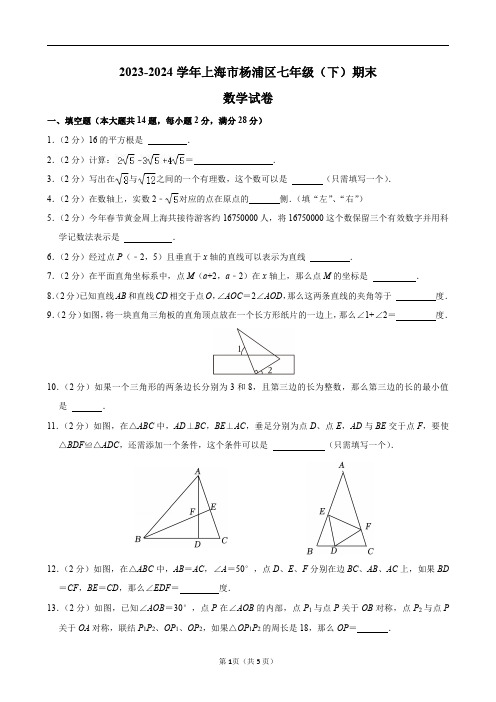 2023-2024学年上海市杨浦区七年级(下)期末数学试卷及答案解析