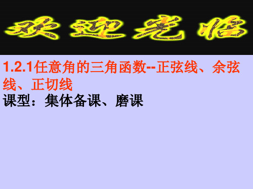 高一数学(1.2.1-2任意角的三角函数正弦线、余弦线、正切线教学设计75、76