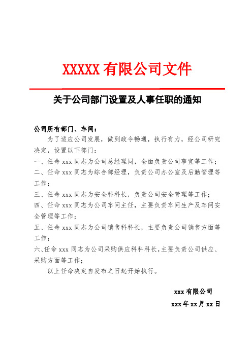 关于公司部门设置及人事任职的通知