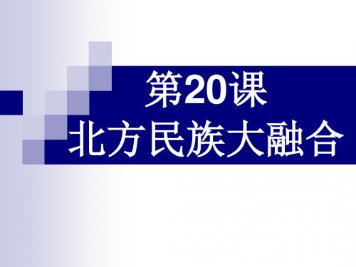 历史：第20课《北方民族的大融合》课件(人教新课标七年级上)