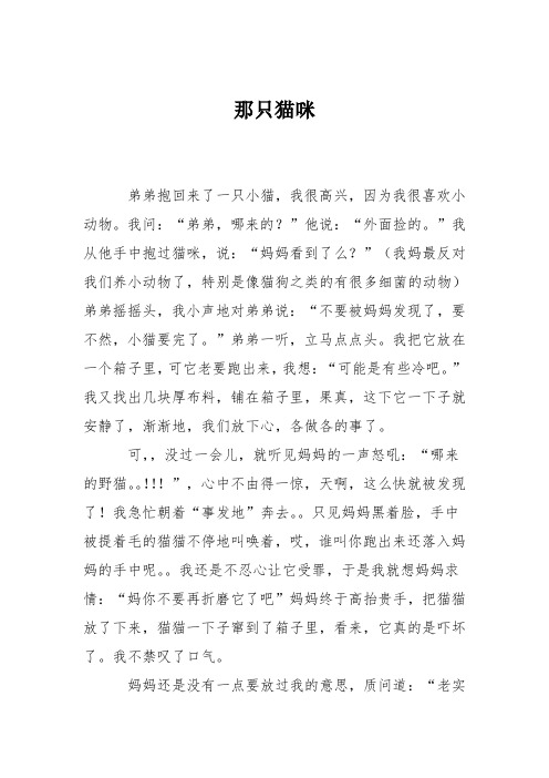 初中记事作文:那只猫咪