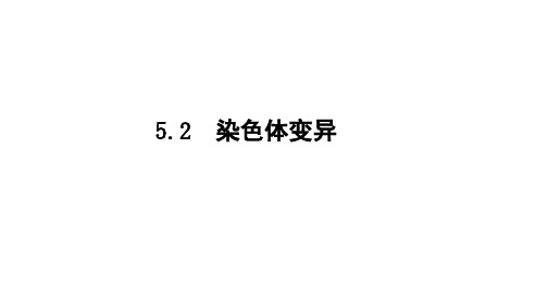 人教版高中生物必修二染色体变异复习用