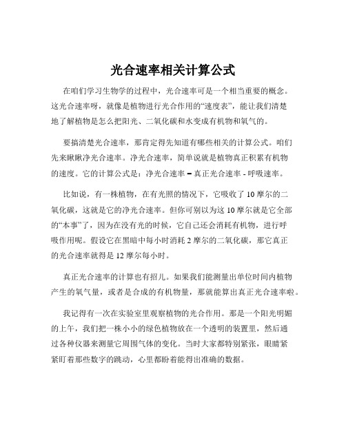 光合速率相关计算公式