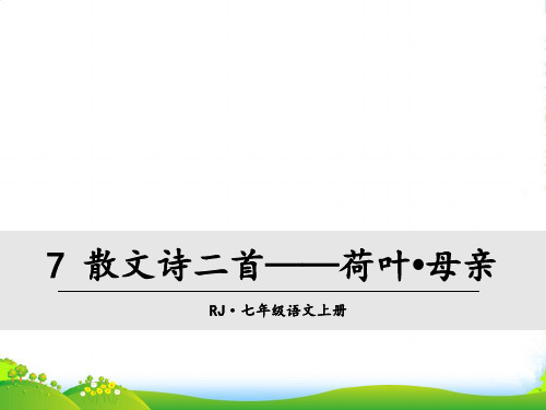 部编版七年级语文上册7散文诗两首——荷叶·母亲-课件