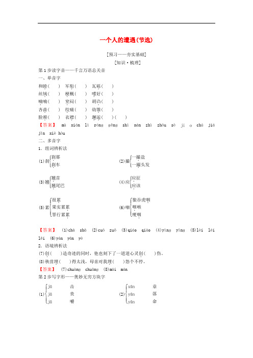 高中语文 第二专题 和平和祈祷 一个人的遭遇(节选)教师用书 苏教版必修2