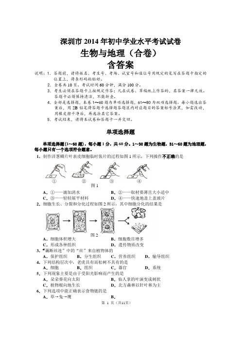 2014年深圳生物与地理会考试卷(含答案)