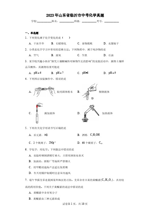 2023年山东省临沂市中考化学真题(含解析)