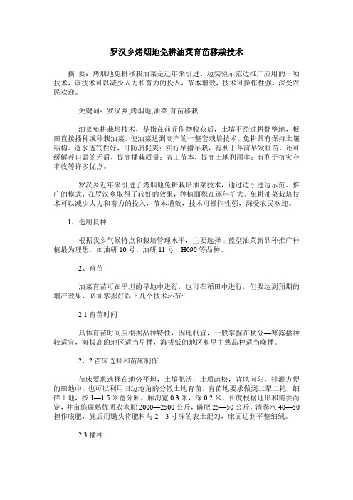 罗汉乡烤烟地免耕油菜育苗移栽技术