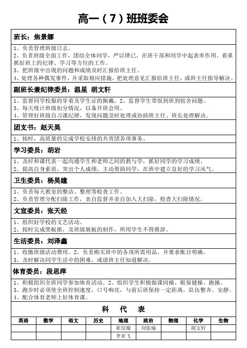 班委会表格