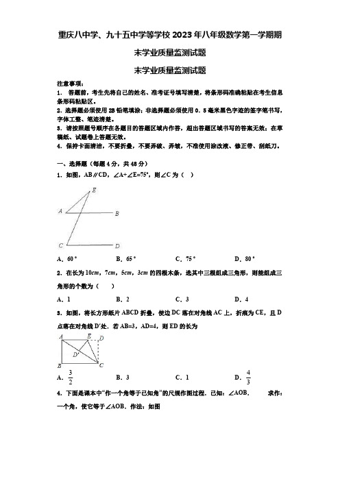 重庆八中学、九十五中学等学校2023年八年级数学第一学期期末学业质量监测试题【含解析】