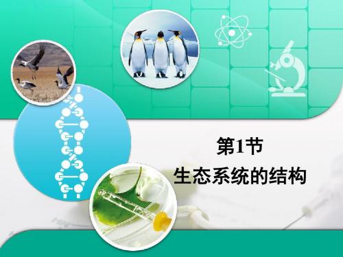 人教版高中生物必修3-5.1《生态系统的结构》复习课件