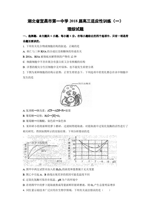 生物-湖北省宜昌市第一中学2018届高三适应性训练(一)理综试题
