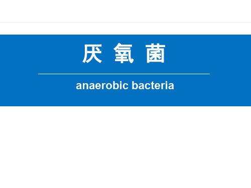 厌氧菌