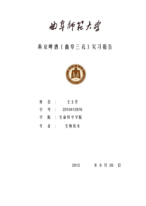燕京(三孔)啤酒厂实习报告模板
