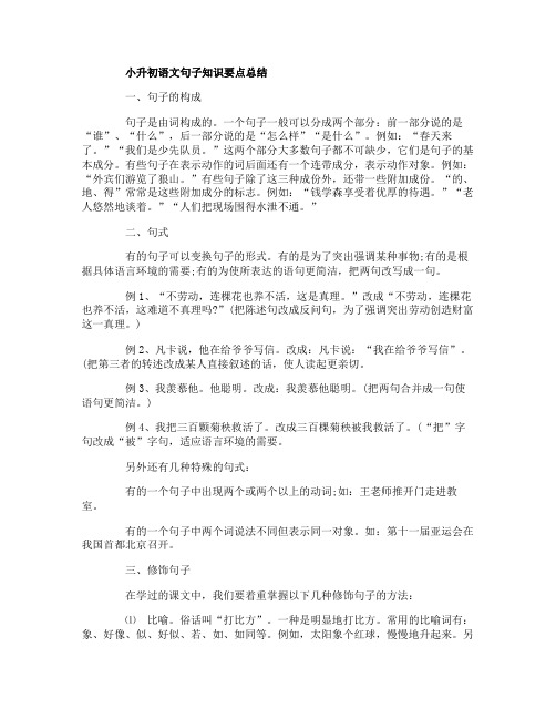 小升初语文句子知识要点总结