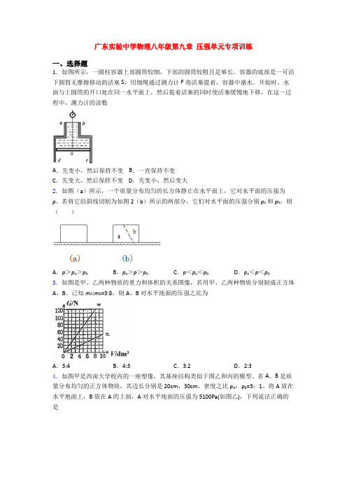 广东实验中学物理八年级第九章 压强单元专项训练