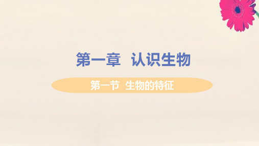 七年级生物上册第一单元生物和生物圈第一章认识生物第一节生物的特征教学课件新版新人教版