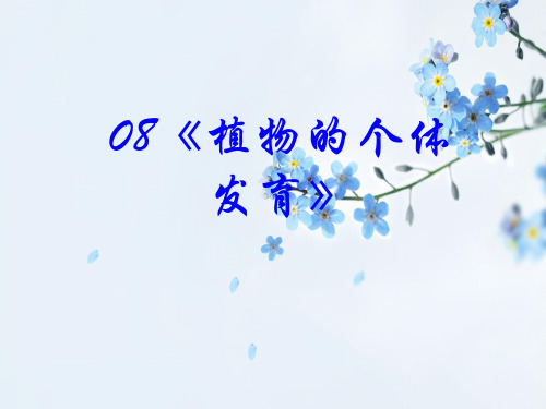 植物的个体发育PPT教学课件