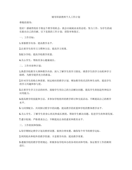 辅导班新教师个人工作计划